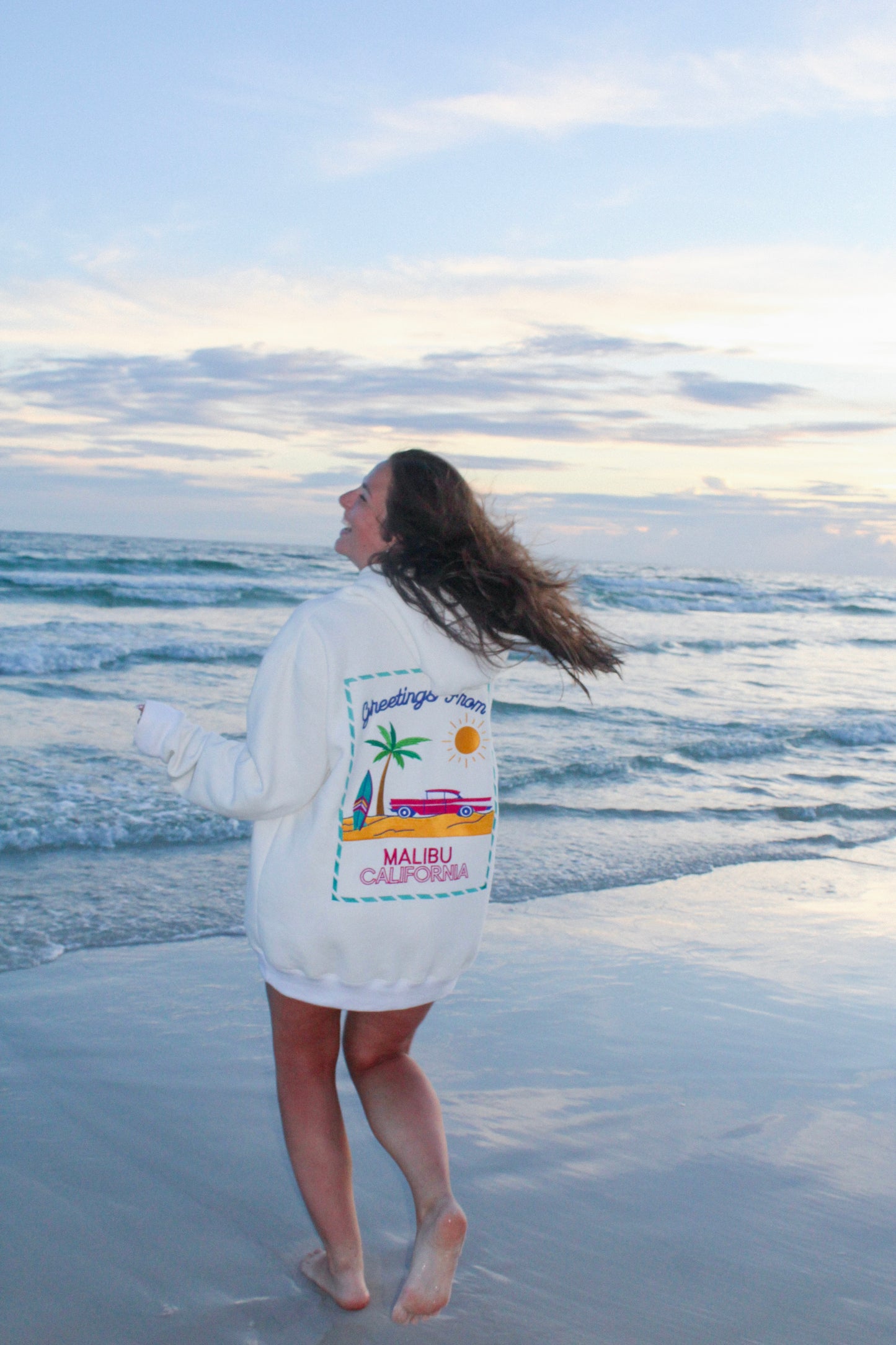 A Postcard from Malibu Embroidered Hoodie