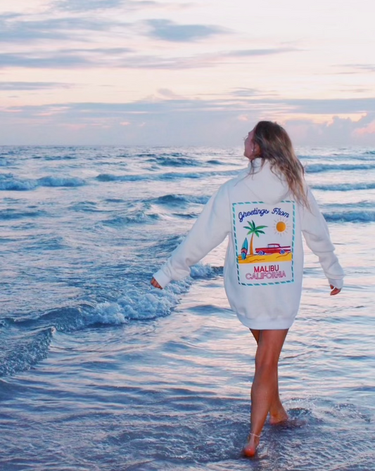 A Postcard from Malibu Embroidered Hoodie